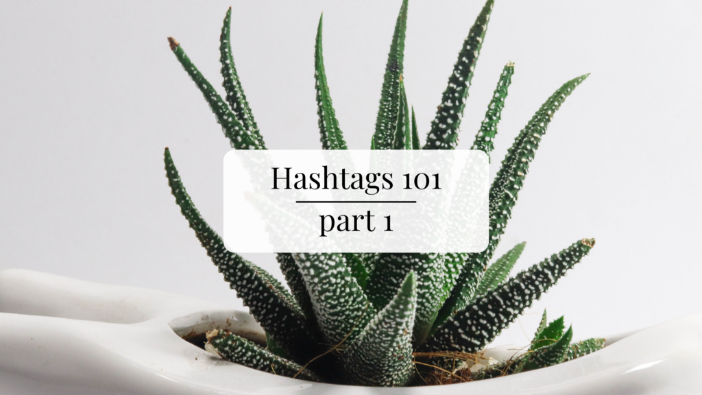 text over image reads hashtags 101 part 1