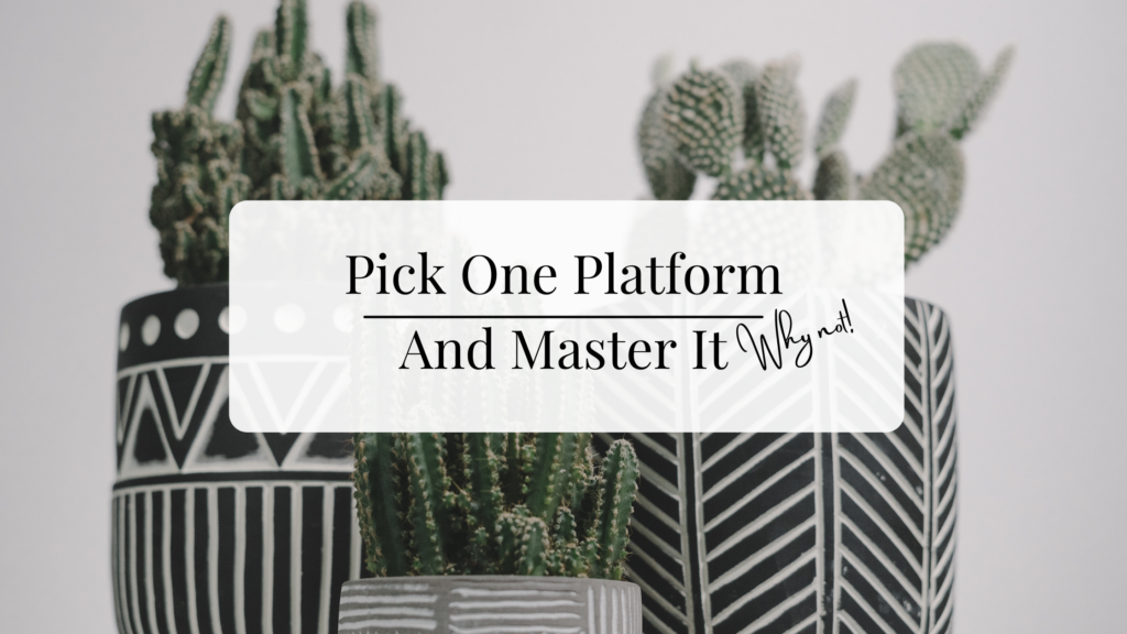 title image of blog article is three potted cactus with title overlay